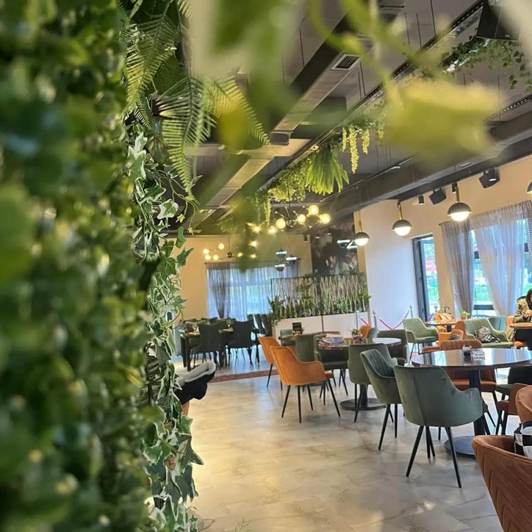 306783104 101297052748684 3692672962162787877 n