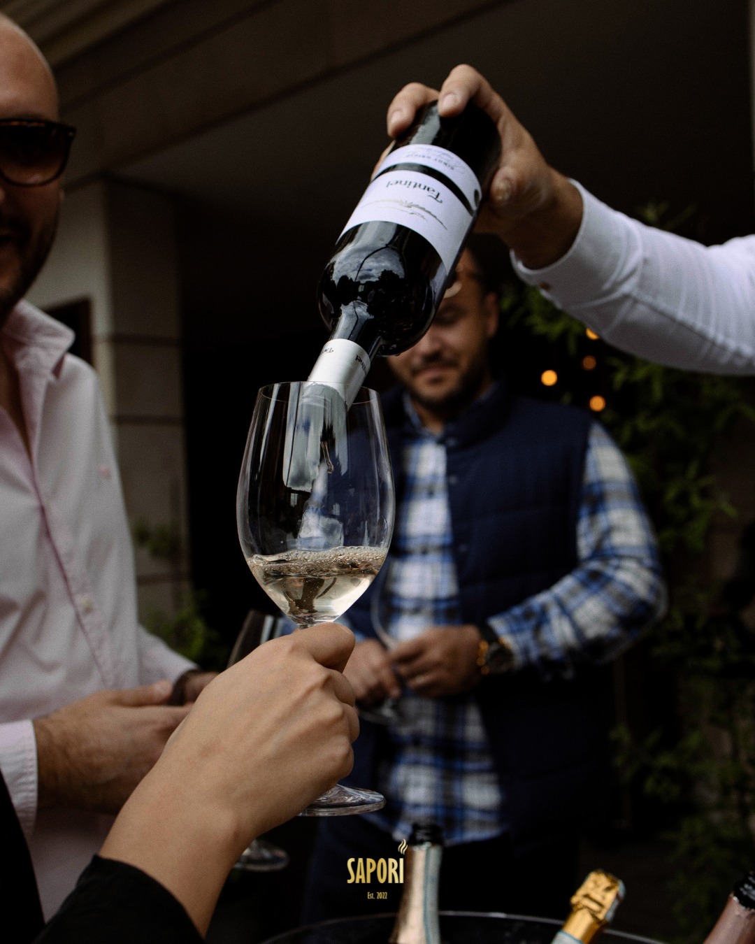 518334808 732355886318994 5221263102801383735 n