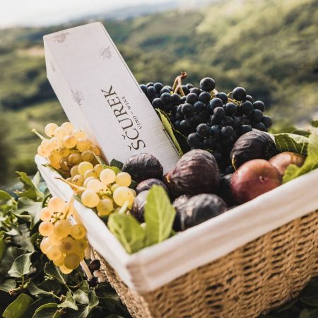 119119514_3230400080328995_146046083979939247_n